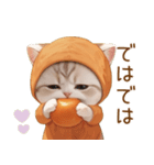 スコティッシュ猫 みかん服 ネガティブ敬語（個別スタンプ：24）