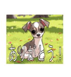 ウィペットがいっぱい（個別スタンプ：9）