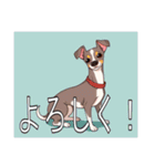 ウィペットがいっぱい（個別スタンプ：11）