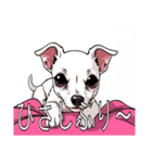 ウィペットがいっぱい（個別スタンプ：13）