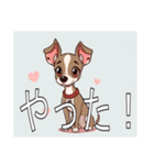 ウィペットがいっぱい（個別スタンプ：20）