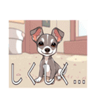 ウィペットがいっぱい（個別スタンプ：24）