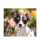 ウィペットがいっぱい（個別スタンプ：26）