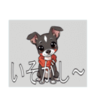 ウィペットがいっぱい（個別スタンプ：40）