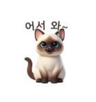 【韓国語】 シャム猫スタンプ 1（個別スタンプ：9）