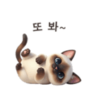 【韓国語】 シャム猫スタンプ 1（個別スタンプ：16）