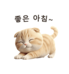 【韓国語】 スコティッシュ スタンプ 1（個別スタンプ：2）