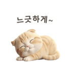 【韓国語】 スコティッシュ スタンプ 1（個別スタンプ：5）