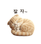 【韓国語】 スコティッシュ スタンプ 1（個別スタンプ：11）