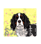 スプリンガースパニエル（個別スタンプ：10）