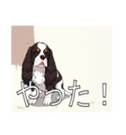 スプリンガースパニエル（個別スタンプ：17）