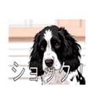スプリンガースパニエル（個別スタンプ：25）