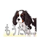 スプリンガースパニエル（個別スタンプ：28）