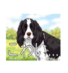 スプリンガースパニエル（個別スタンプ：32）