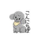 トイプードル グレー（使いやすい敬語）（個別スタンプ：2）