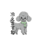 トイプードル グレー（使いやすい敬語）（個別スタンプ：4）