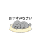 トイプードル グレー（使いやすい敬語）（個別スタンプ：5）