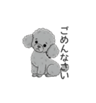 トイプードル グレー（使いやすい敬語）（個別スタンプ：8）