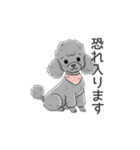 トイプードル グレー（使いやすい敬語）（個別スタンプ：9）
