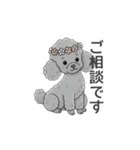 トイプードル グレー（使いやすい敬語）（個別スタンプ：11）