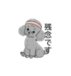 トイプードル グレー（使いやすい敬語）（個別スタンプ：17）