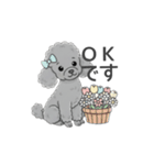 トイプードル グレー（使いやすい敬語）（個別スタンプ：18）