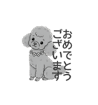 トイプードル グレー（使いやすい敬語）（個別スタンプ：20）