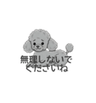 トイプードル グレー（使いやすい敬語）（個別スタンプ：22）
