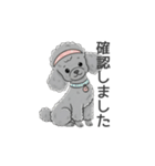 トイプードル グレー（使いやすい敬語）（個別スタンプ：23）