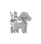 トイプードル グレー（使いやすい敬語）（個別スタンプ：25）