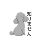 トイプードル グレー（使いやすい敬語）（個別スタンプ：27）