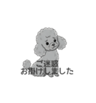 トイプードル グレー（使いやすい敬語）（個別スタンプ：28）