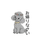 トイプードル グレー（使いやすい敬語）（個別スタンプ：29）