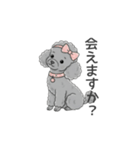 トイプードル グレー（使いやすい敬語）（個別スタンプ：32）