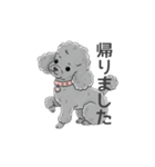 トイプードル グレー（使いやすい敬語）（個別スタンプ：36）