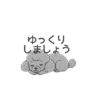 トイプードル グレー（使いやすい敬語）（個別スタンプ：38）