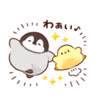 もふピヨ(2)（個別スタンプ：11）