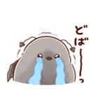 もふピヨ(2)（個別スタンプ：19）