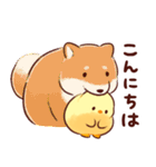 もふピヨ(2)（個別スタンプ：27）