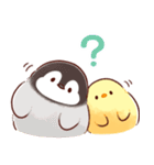 もふピヨ(2)（個別スタンプ：29）