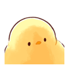 もふピヨ(2)（個別スタンプ：35）
