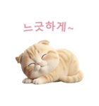 【韓国語】 スコティッシュ スタンプ 2（個別スタンプ：5）
