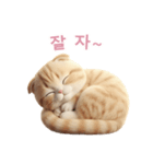 【韓国語】 スコティッシュ スタンプ 2（個別スタンプ：11）