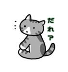 ねこの住み家☆ミルハナときどきミーシャ（個別スタンプ：13）