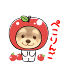 シュナちゃんのご挨拶（個別スタンプ：1）