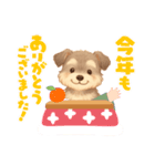 シュナちゃんのご挨拶（個別スタンプ：15）