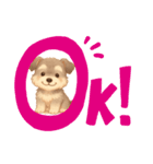 シュナちゃんのご挨拶（個別スタンプ：16）