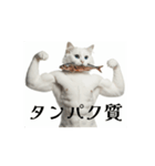 秋の猫マッチョ☆（個別スタンプ：8）