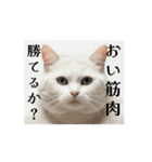 秋の猫マッチョ☆（個別スタンプ：13）