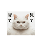 秋の猫マッチョ☆（個別スタンプ：15）